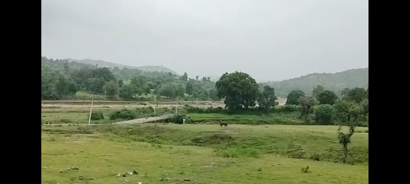  Agricultural Land 25 Bigha for Sale in Rishabhdev, Udaipur