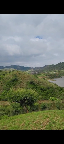  Agricultural Land 8 Bigha for Sale in Gogunda, Udaipur