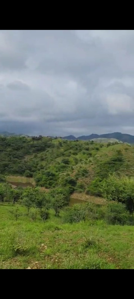  Agricultural Land 8 Bigha for Sale in Gogunda, Udaipur