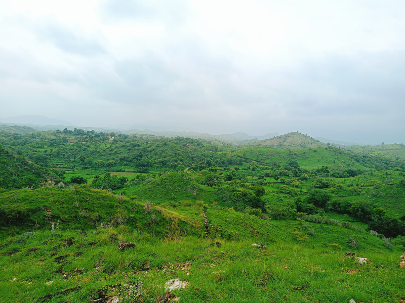  Agricultural Land 9 Bigha for Sale in Nathdwara Road, Udaipur