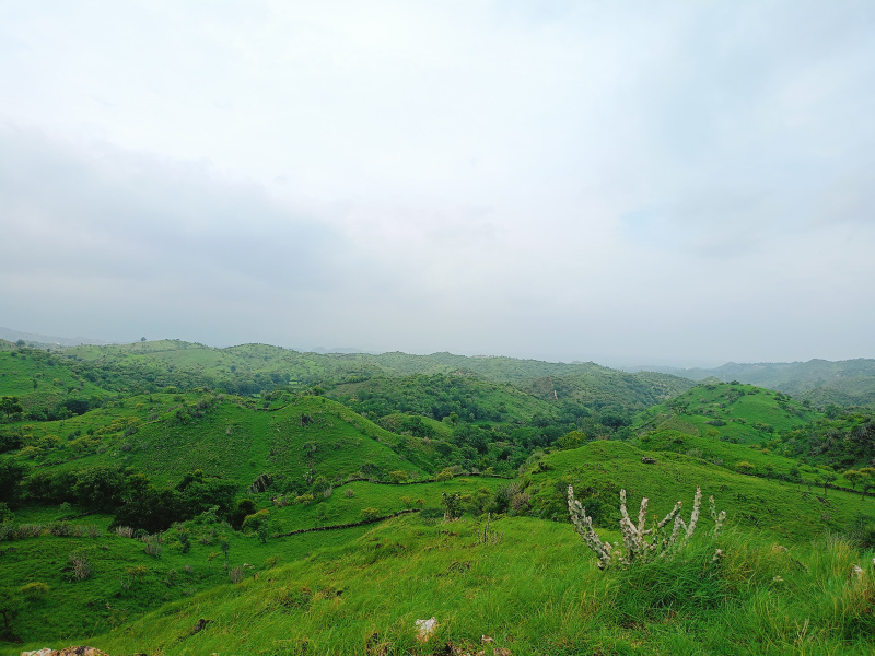 Agricultural Land 9 Bigha for Sale in Nathdwara Road, Udaipur