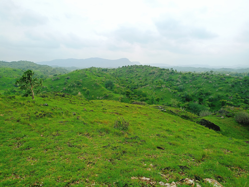  Agricultural Land 9 Bigha for Sale in Nathdwara Road, Udaipur