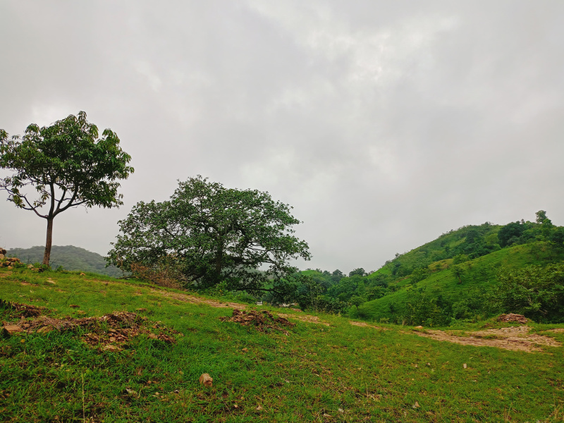  Agricultural Land 4 Bigha for Sale in Girwa, Udaipur
