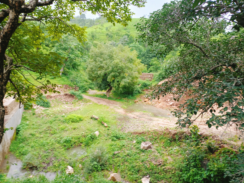  Agricultural Land 4 Bigha for Sale in Girwa, Udaipur