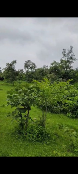  Agricultural Land for Sale in Girwa, Udaipur