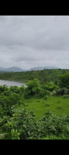  Agricultural Land 40 Bigha for Sale in Girwa, Udaipur