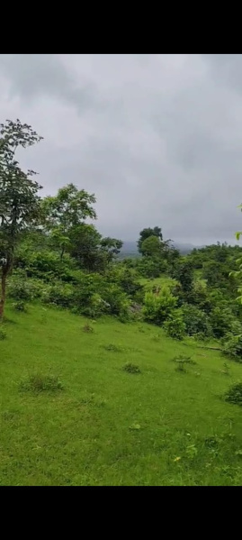  Agricultural Land 40 Bigha for Sale in Girwa, Udaipur