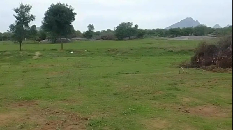  Commercial Land 11 Bigha for Sale in Girwa, Udaipur