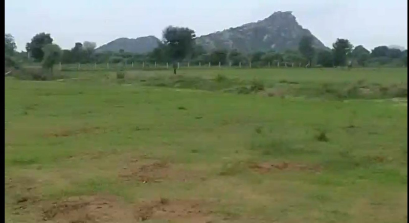  Commercial Land 11 Bigha for Sale in Girwa, Udaipur