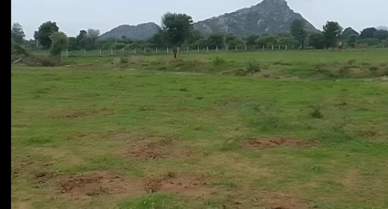  Commercial Land 11 Bigha for Sale in Girwa, Udaipur