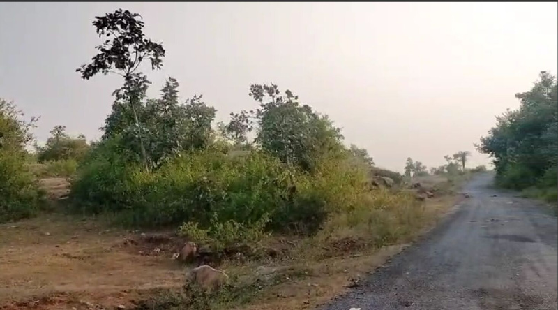  100 Bigha Agricultural/Farm Land for Sale in Bhinder, Udaipur