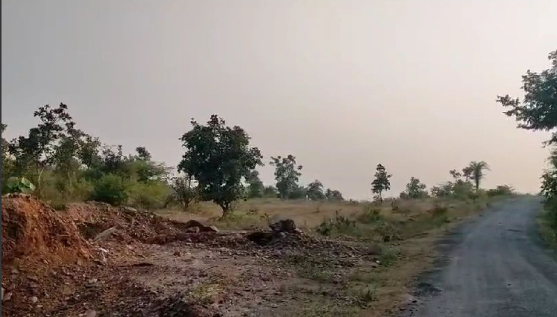  100 Bigha Agricultural/Farm Land for Sale in Bhinder, Udaipur