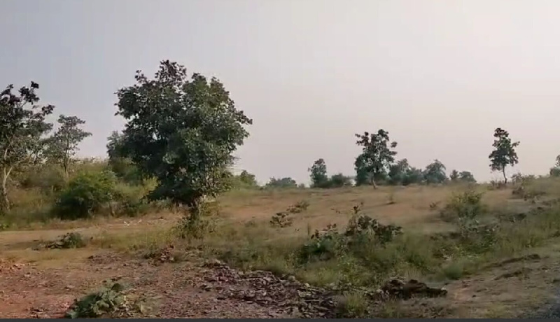  100 Bigha Agricultural/Farm Land for Sale in Bhinder, Udaipur