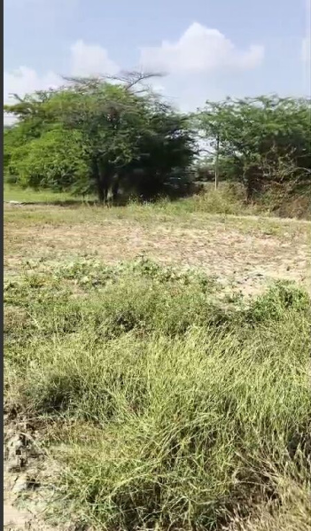  6 Bigha Agricultural/Farm Land for Sale in Jawal, Sirohi