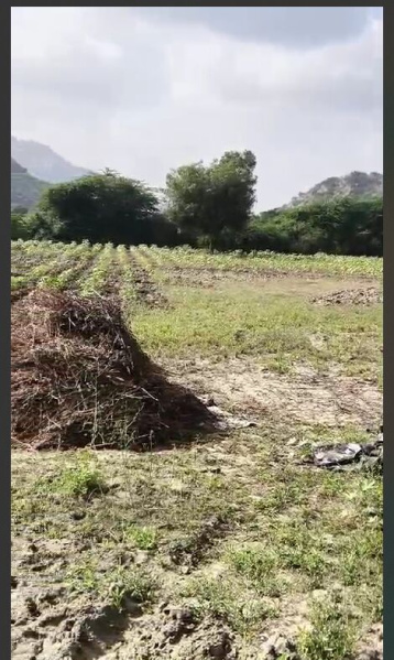  6 Bigha Agricultural/Farm Land for Sale in Jawal, Sirohi