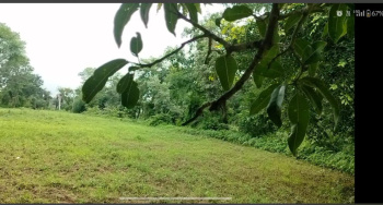  Agricultural Land for Sale in Dabok, Udaipur