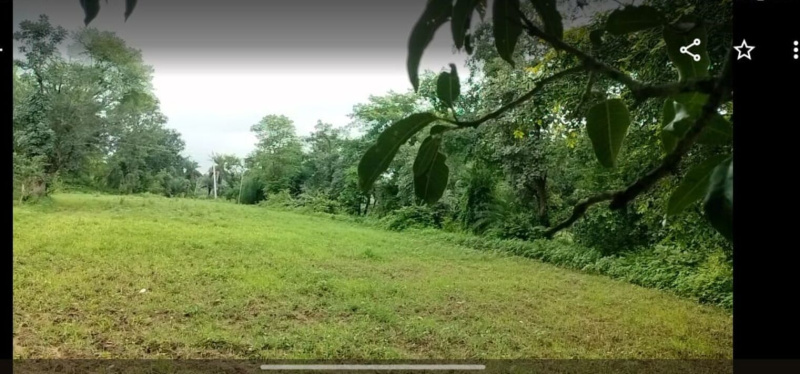  45000 Sq.ft. Agricultural/Farm Land for Sale in Dabok, Udaipur