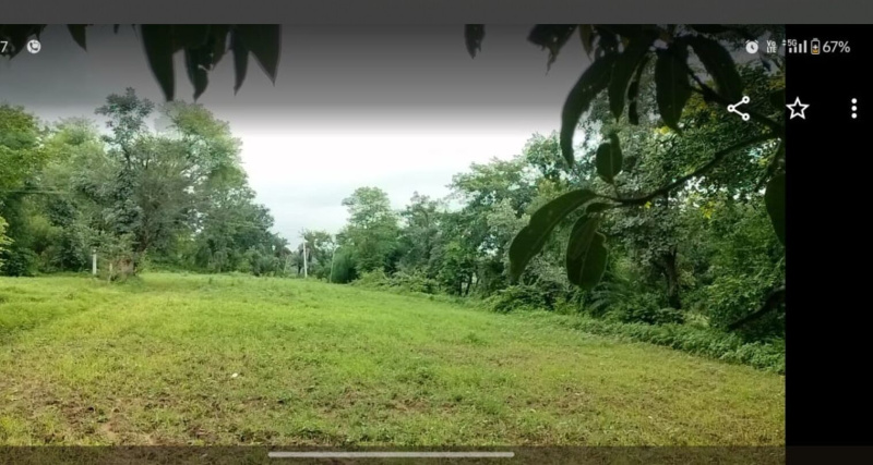  45000 Sq.ft. Agricultural/Farm Land for Sale in Dabok, Udaipur