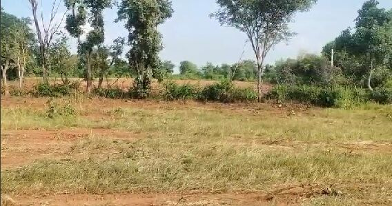  2 Bigha Agricultural/Farm Land for Sale in Sakroda, Udaipur