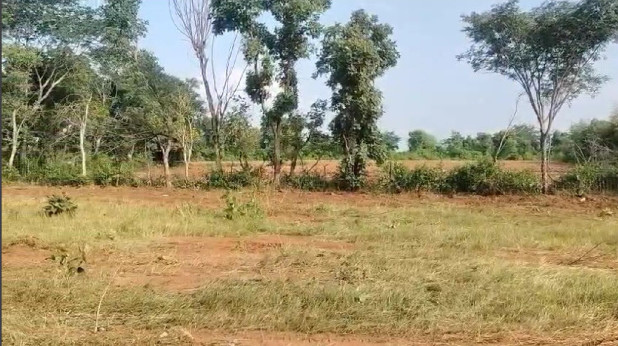  2 Bigha Agricultural/Farm Land for Sale in Sakroda, Udaipur