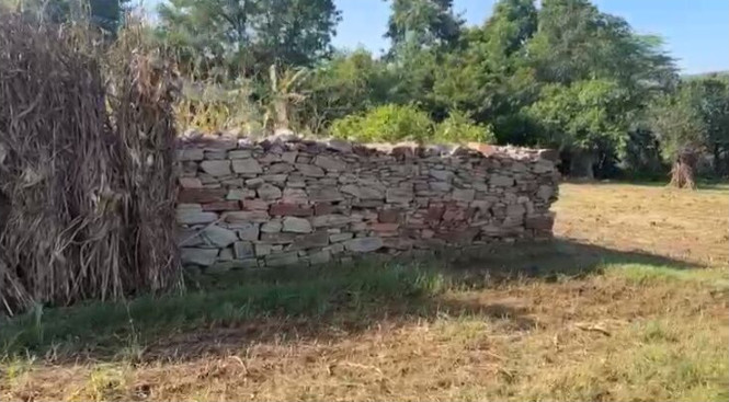  6 Bigha Agricultural/Farm Land for Sale in Debari, Udaipur