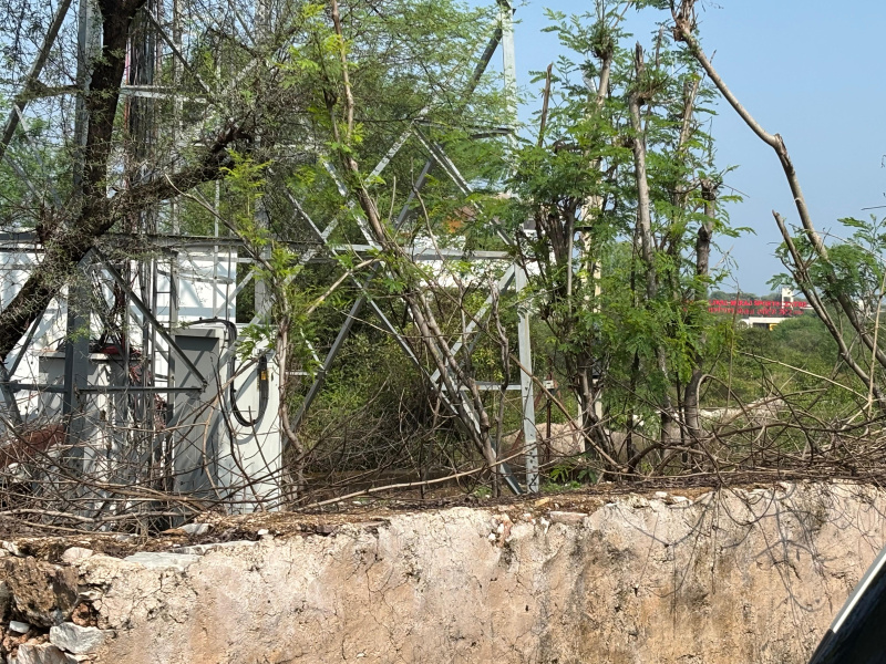  100 Bigha Agricultural/Farm Land for Sale in Nathdwara Road, Udaipur