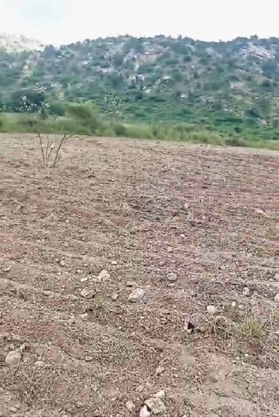  65 Bigha Agricultural/Farm Land for Sale in Salumbar, Udaipur