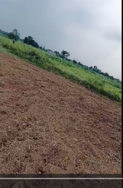  65 Bigha Agricultural/Farm Land for Sale in Salumbar, Udaipur