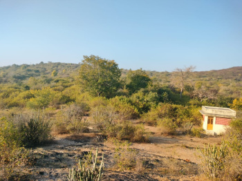  Agricultural Land for Sale in Chirva Ghata, Udaipur