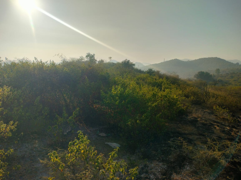  7000000 Bigha Agricultural/Farm Land for Sale in Chirva Ghata, Udaipur