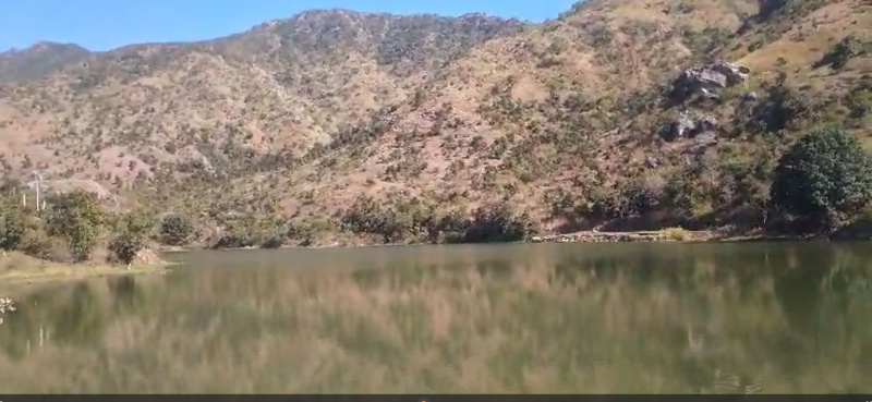  28 Bigha Agricultural/Farm Land for Sale in Nathdwara Road, Udaipur