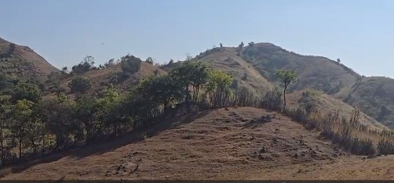  50 Bigha Agricultural/Farm Land for Sale in Rishabhdev, Udaipur