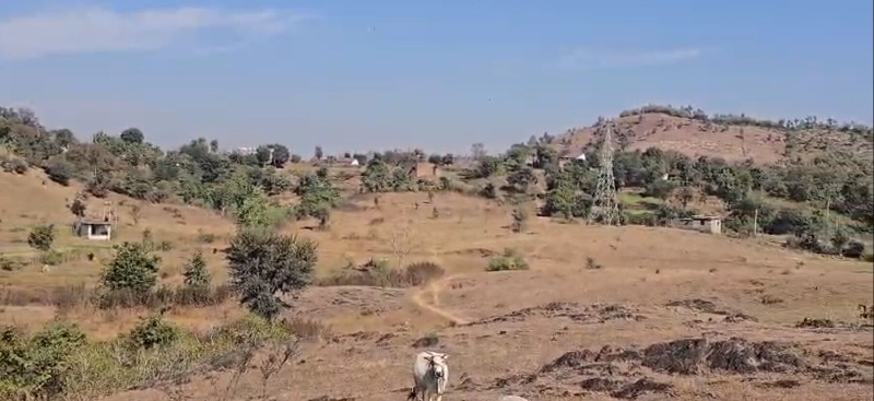  50 Bigha Agricultural/Farm Land for Sale in Rishabhdev, Udaipur