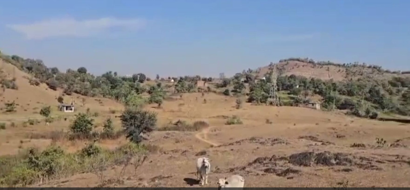  14 Bigha Agricultural/Farm Land for Sale in Kodiyat, Udaipur