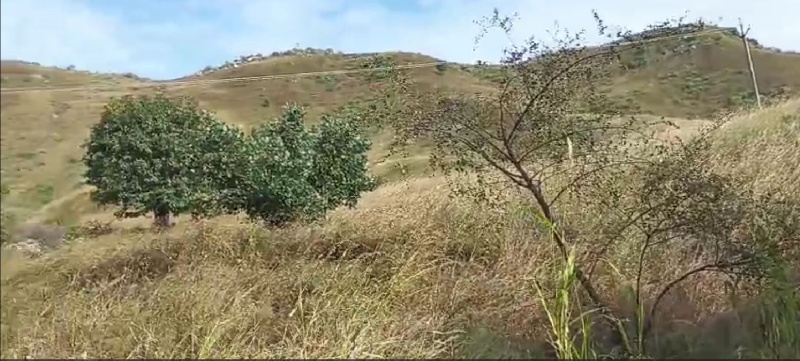  107 Bigha Agricultural/Farm Land for Sale in Gogunda, Udaipur