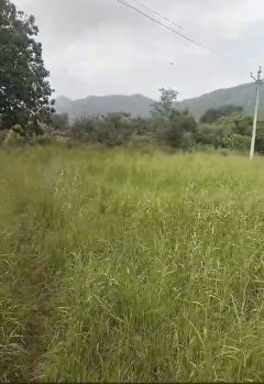 Agricultural Land for Sale in Gogunda, Udaipur