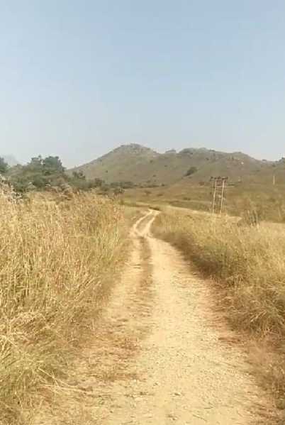  120 Bigha Agricultural/Farm Land for Sale in Gogunda, Udaipur