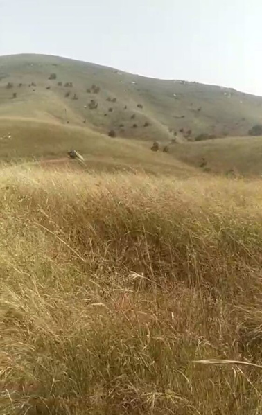  120 Bigha Agricultural/Farm Land for Sale in Gogunda, Udaipur