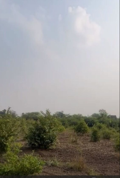  27 Bigha Agricultural/Farm Land for Sale in Mangalwad, Udaipur