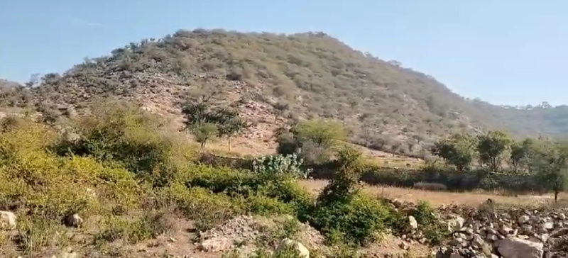  800 Bigha Agricultural/Farm Land for Sale in Nathdwara, Rajsamand