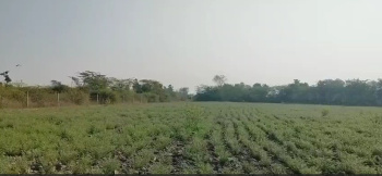  Agricultural Land for Sale in Fatehnagar, Udaipur