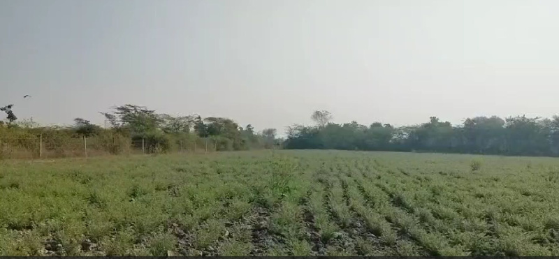  50 Bigha Agricultural/Farm Land for Sale in Fatehnagar, Udaipur
