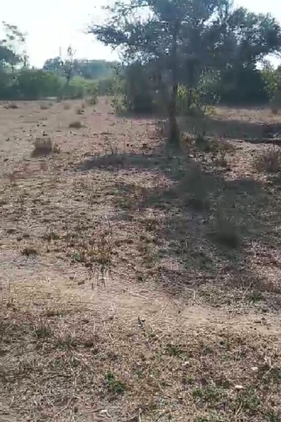  23 Bigha Agricultural/Farm Land for Sale in Nathdwara Road, Udaipur