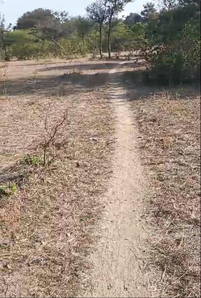  23 Bigha Agricultural/Farm Land for Sale in Nathdwara Road, Udaipur