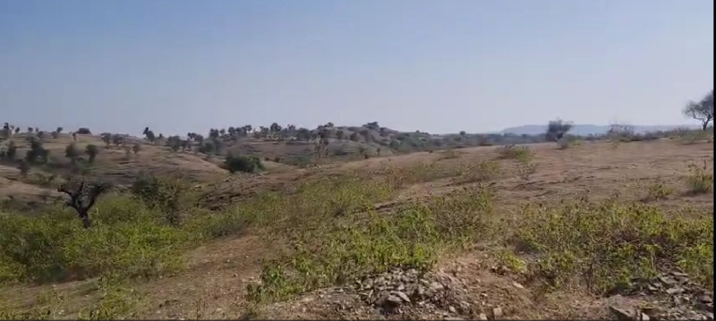  84 Bigha Agricultural/Farm Land for Sale in Nathdwara Road, Udaipur