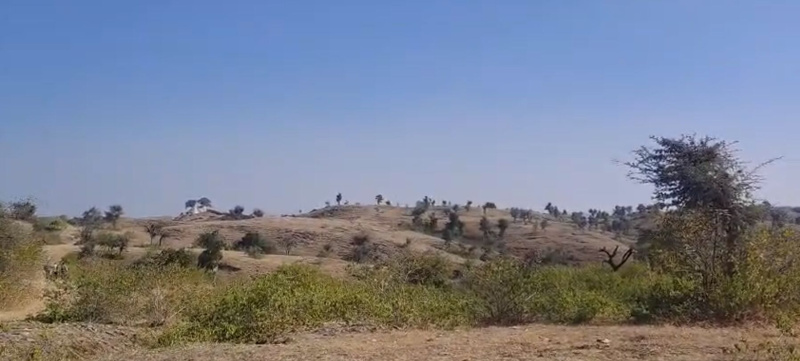  84 Bigha Agricultural/Farm Land for Sale in Nathdwara Road, Udaipur