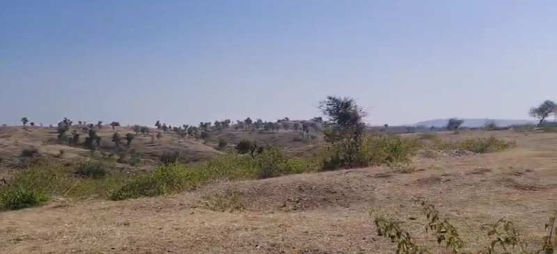  84 Bigha Agricultural/Farm Land for Sale in Nathdwara Road, Udaipur