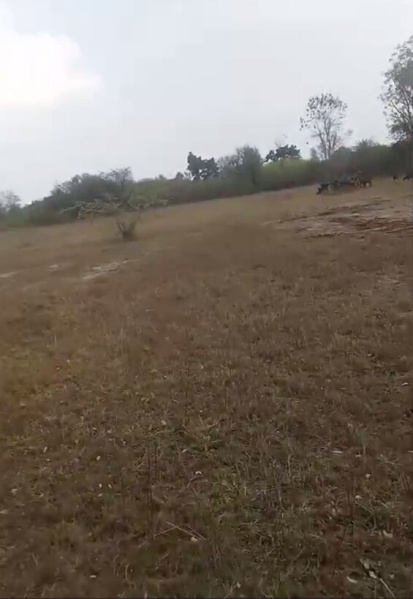  130 Bigha Agricultural/Farm Land for Sale in Nathdwara Road, Udaipur