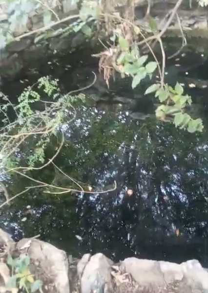  130 Bigha Agricultural/Farm Land for Sale in Nathdwara Road, Udaipur