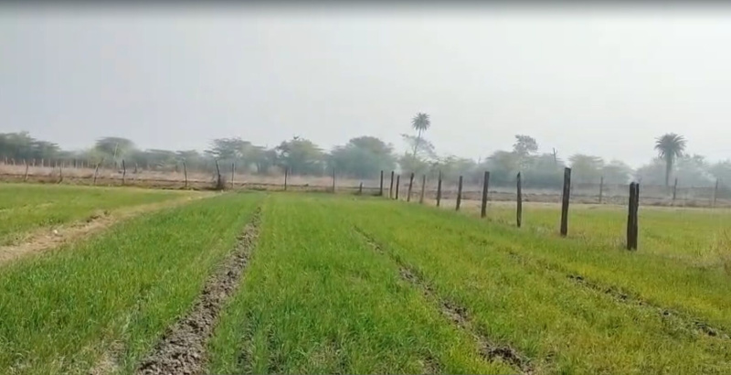  7 Bigha Agricultural/Farm Land for Sale in Bhatewar, Udaipur